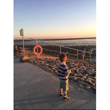 Strandnelke Modern Retreat *