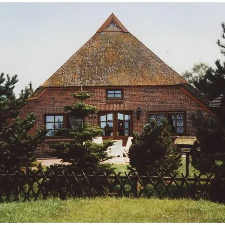 Strandnelke Modern Retreat *