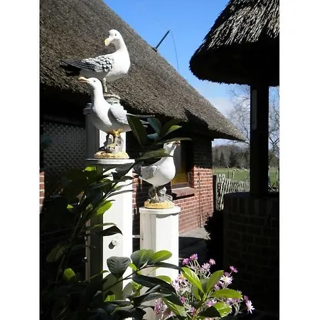 Strandnelke Modern Retreat Semesterbostad *